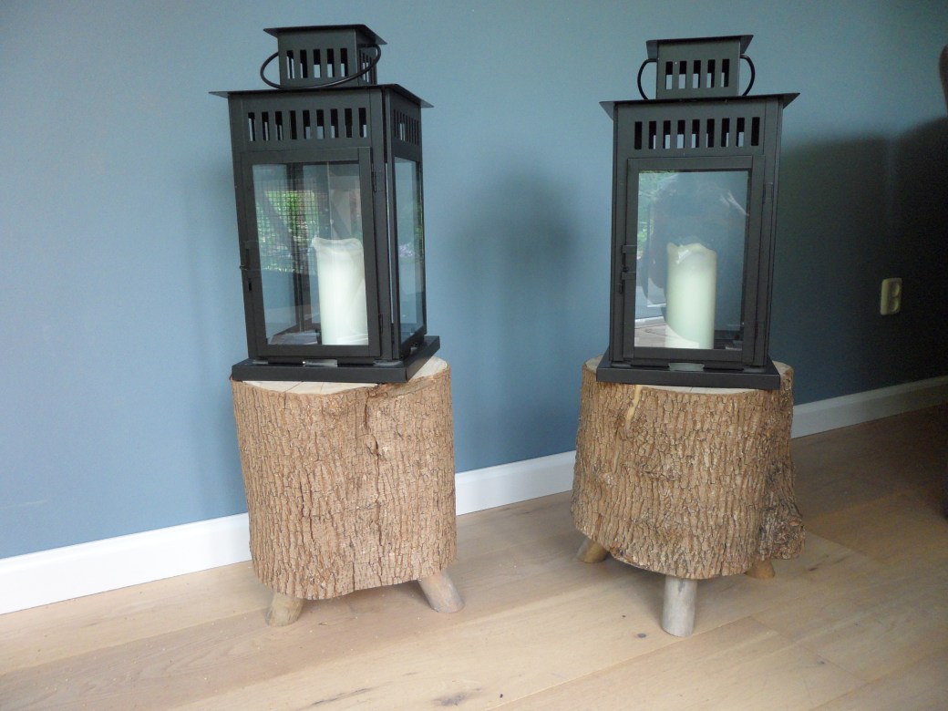 Wat te doen als je een boomstam&nbsp;hebt