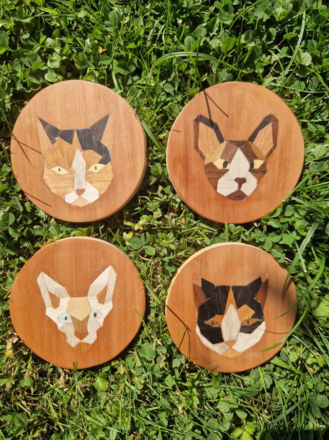 Vier katten nagemaakt aan de hand van foto's